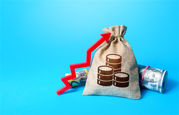 「預算管理咨詢」如何在不同階段制定不同的預算計劃？