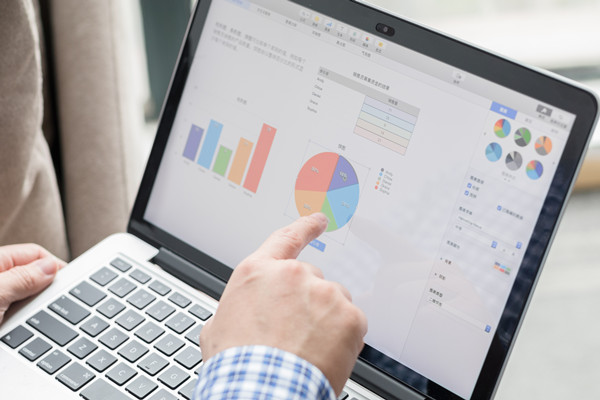 預(yù)算控制咨詢：協(xié)助企業(yè)建立控制體系，確保預(yù)算執(zhí)行