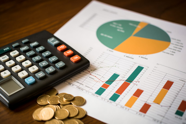 強化集團管控：財務(wù)，人力資源，信息技術(shù)的整合