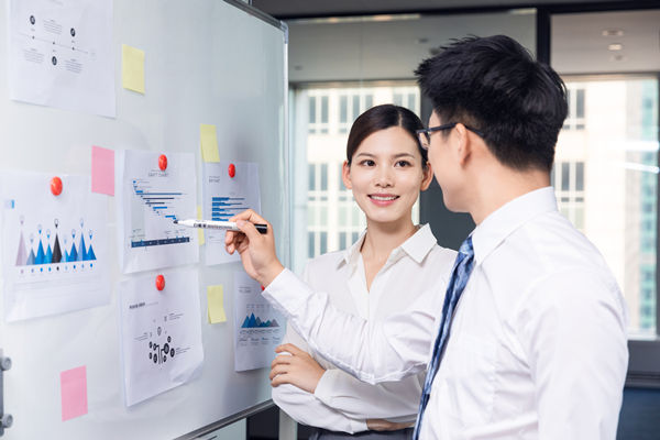 組織咨詢：協(xié)助企業(yè)制定組織發(fā)展戰(zhàn)略，推動組織成長