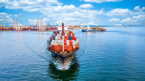 供應鏈咨詢：如何提高供應鏈的透明度和可追溯性？