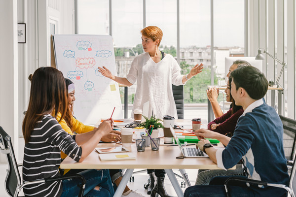 集團管控中的組織結構優(yōu)化：原則、方法與實踐
