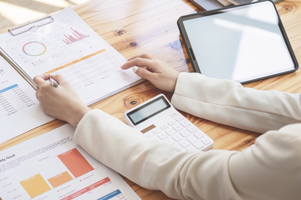 年度風(fēng)險防控計劃：風(fēng)險防范，穩(wěn)健前行