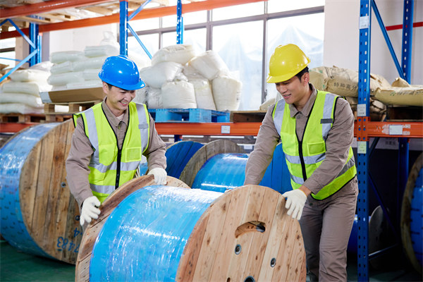 協(xié)同供應鏈：強化合作伙伴關系，提升整體競爭力