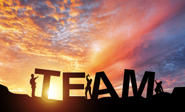 組織規(guī)劃管理：構(gòu)建高效團(tuán)隊，引領(lǐng)企業(yè)穩(wěn)健發(fā)展