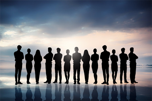 優(yōu)化組織結(jié)構(gòu)，提升協(xié)作效能，助推組織發(fā)展新高度