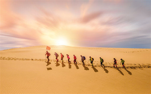 風險防范：構建全面風險管理體系，保障企業(yè)穩(wěn)健發(fā)展