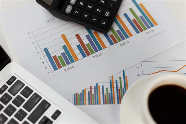 預(yù)算管理信息化建設(shè)：提升管理效率，降低管理成本