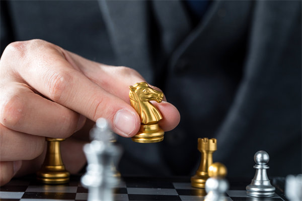 戰(zhàn)略咨詢，揭秘成功密碼，引領企業(yè)從優(yōu)秀走向卓越