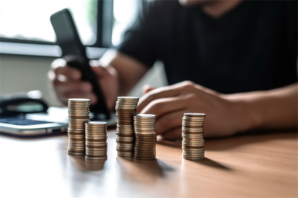 環(huán)境快速變化，如何確保預(yù)算執(zhí)行的靈活性和適應(yīng)性？