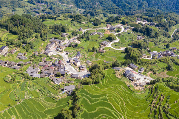 麗水人力資源咨詢(xún)公司如何優(yōu)化企業(yè)人才布局？