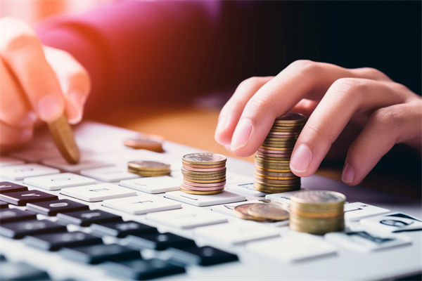 預(yù)算分析過(guò)程中，如何識(shí)別并糾正數(shù)據(jù)偏差，確保準(zhǔn)確性？