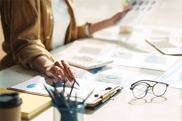 在預(yù)算執(zhí)行中，如何確保監(jiān)控與調(diào)整機(jī)制的有效性？