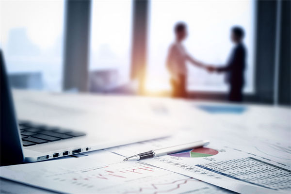 在預(yù)算執(zhí)行中，如何確保監(jiān)控與調(diào)整機(jī)制的有效性？