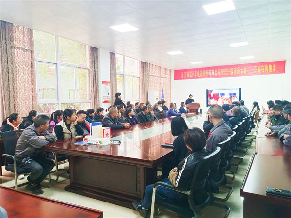 浙江琳瑞汽車(chē)電器股份有限公司系統(tǒng)管理升級(jí)咨詢項(xiàng)目啟動(dòng)