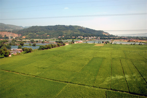 清遠(yuǎn)營銷咨詢公司如何精準(zhǔn)定位企業(yè)目標(biāo)市場？