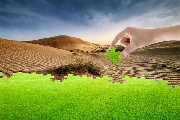 企業(yè)深陷困境，管理咨詢(xún)?nèi)绾我岳做侄未蚱瓢l(fā)展僵局？