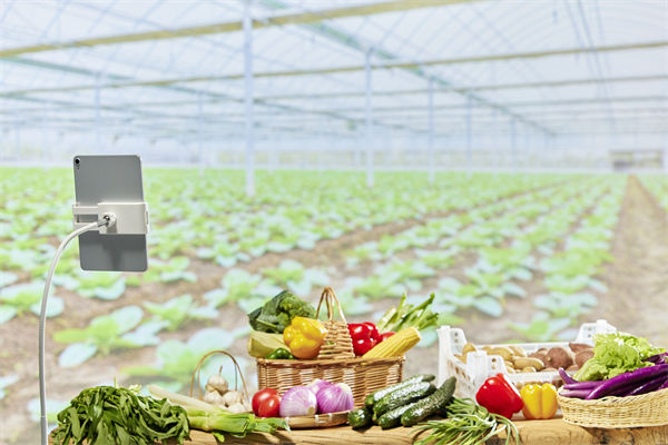 面對市場變化，您的營銷團隊是否足夠靈活應變？