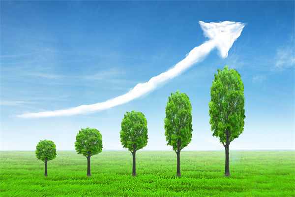 植樹就是植未來，對企業(yè)的戰(zhàn)略規(guī)劃有哪些啟示？