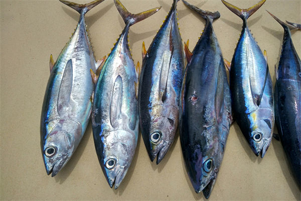 商務(wù)部：將幫助外貿(mào)企業(yè)擴(kuò)寬內(nèi)銷渠道，政策解讀！