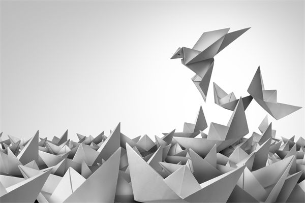 變革期文化斷層，如何用管理體系凝聚團隊共識？