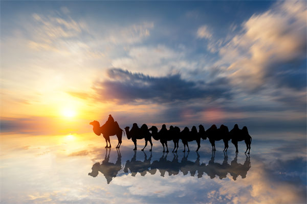 戰(zhàn)略與文化脫節(jié)，企業(yè)理念如何落地支撐發(fā)展？