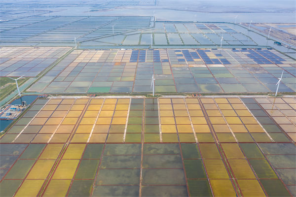 濰坊制造業(yè)招工難留人更難，濰坊人力資源咨詢公司如何破局用工困局？