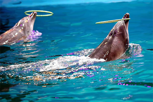 績效管理分析：公園月薪3萬招摸魚官每天工作2小時