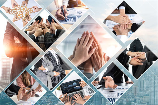 推動綠色發(fā)展，上合組織在行動，企業(yè)有何啟示？