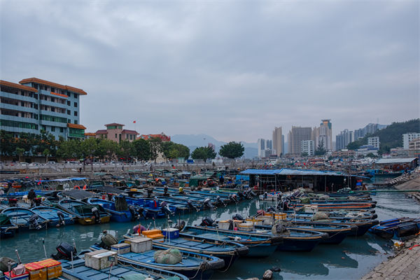 精益生產(chǎn)分析：開(kāi)海第一網(wǎng)撈8000斤，船長(zhǎng)合不攏嘴