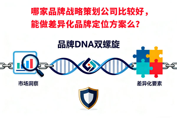 哪家品牌戰(zhàn)略策劃公司比較好，能做差異化品牌定位方案么？