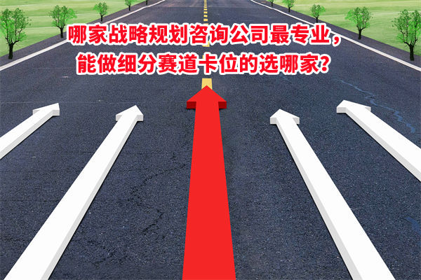 哪家戰(zhàn)略規(guī)劃咨詢公司最專業(yè)，能做細分賽道卡位的選哪家？