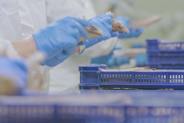 本土駐廠精益生產(chǎn)咨詢哪家強，能快速提升產(chǎn)線流轉(zhuǎn)效率么？