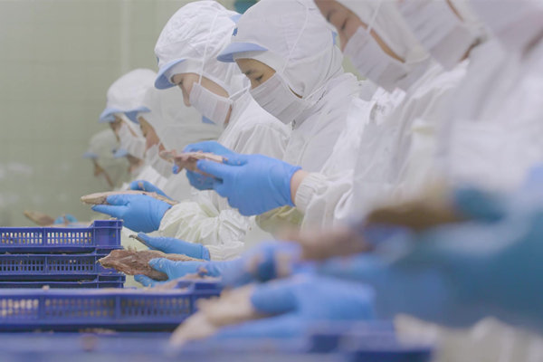 制造業(yè)薪酬績效咨詢公司哪家好，產(chǎn)線效率提升如何掛鉤？