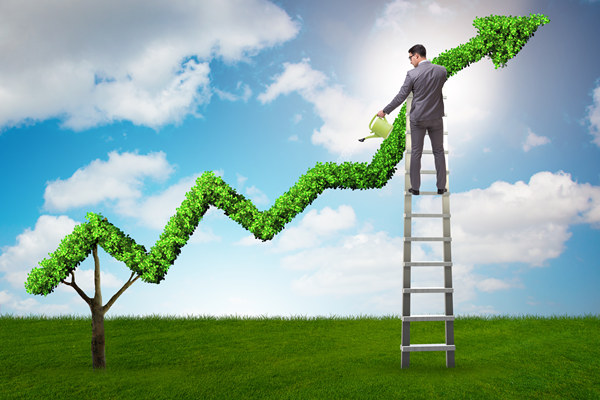 哪個戰(zhàn)略咨詢公司口碑最好，能精準(zhǔn)定企業(yè)長效發(fā)展戰(zhàn)略？